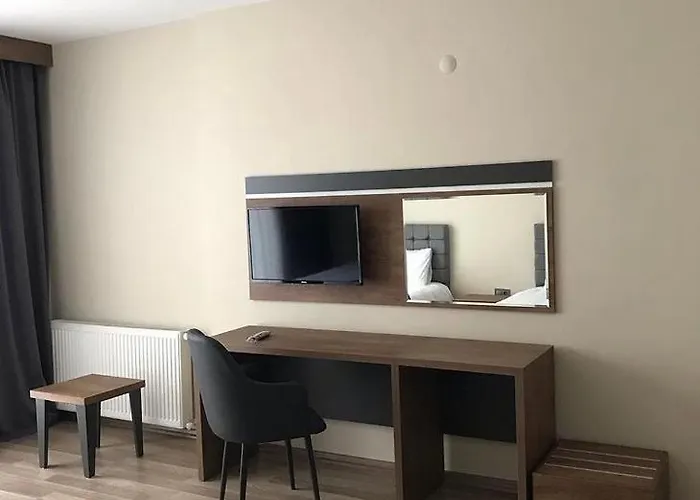 酒店 Alya Teras 2*