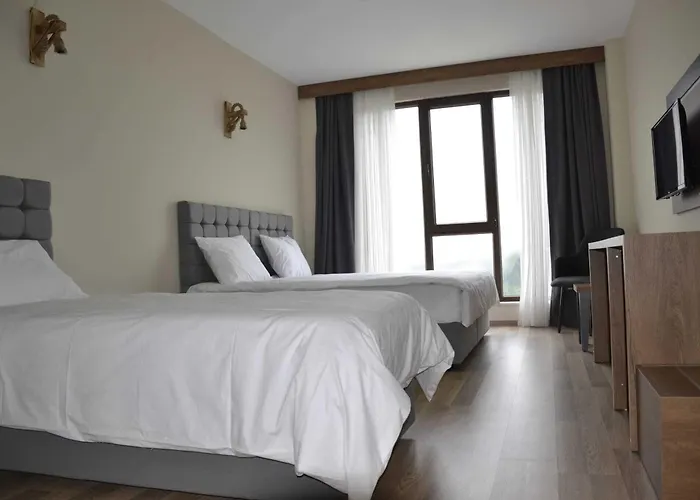 Alya Teras 酒店 2*