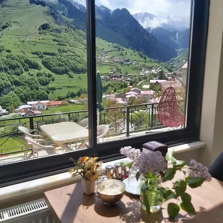 Alya Teras 2* Trabzon