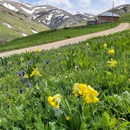 Alya Teras Szálloda Trabzon