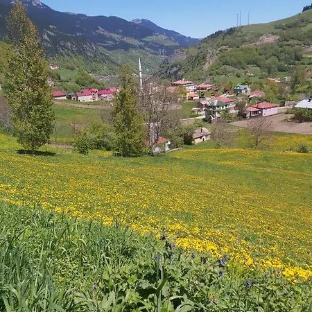 Alya Teras 酒店 2*