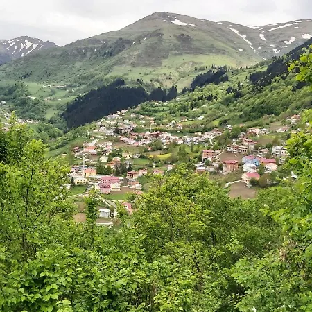 Alya Teras Szálloda