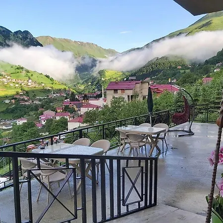 Alya Teras 2* Trabzon