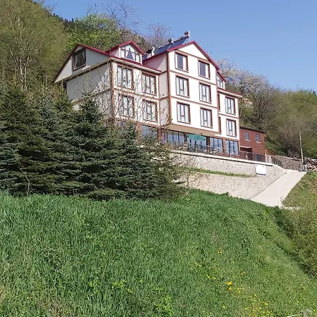 Hotel Alya Teras Trabzon