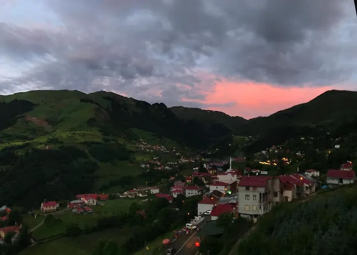 Alya Teras Hotel Trabzon