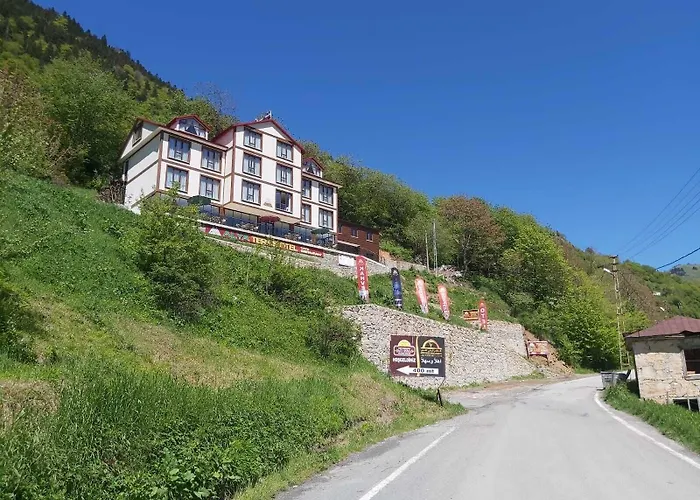 Alya Teras 2* Trabzon