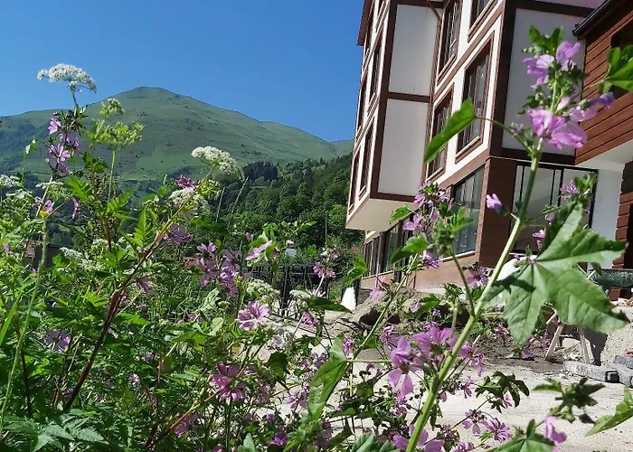 Alya Teras 2* Trabzon